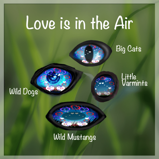 Love is in the Air 2018