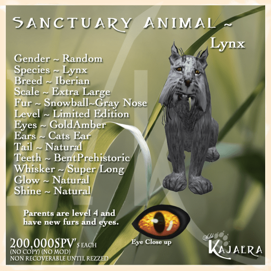 Sanctuary Lynx.png