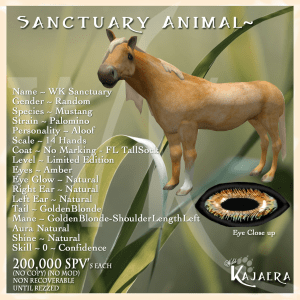 Sanctuary Palomino fixeed