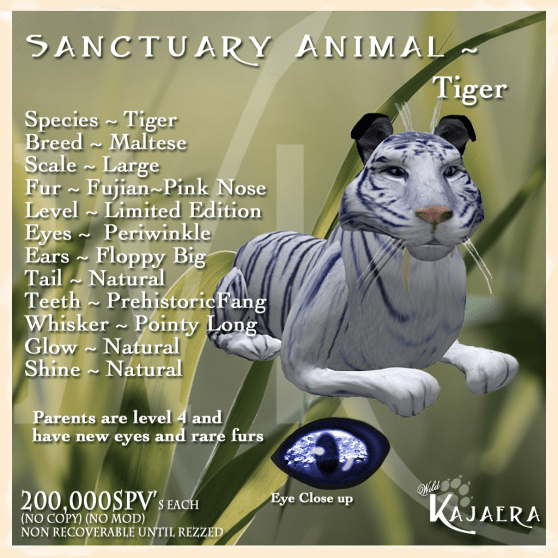 Sanctuary Tiger.png