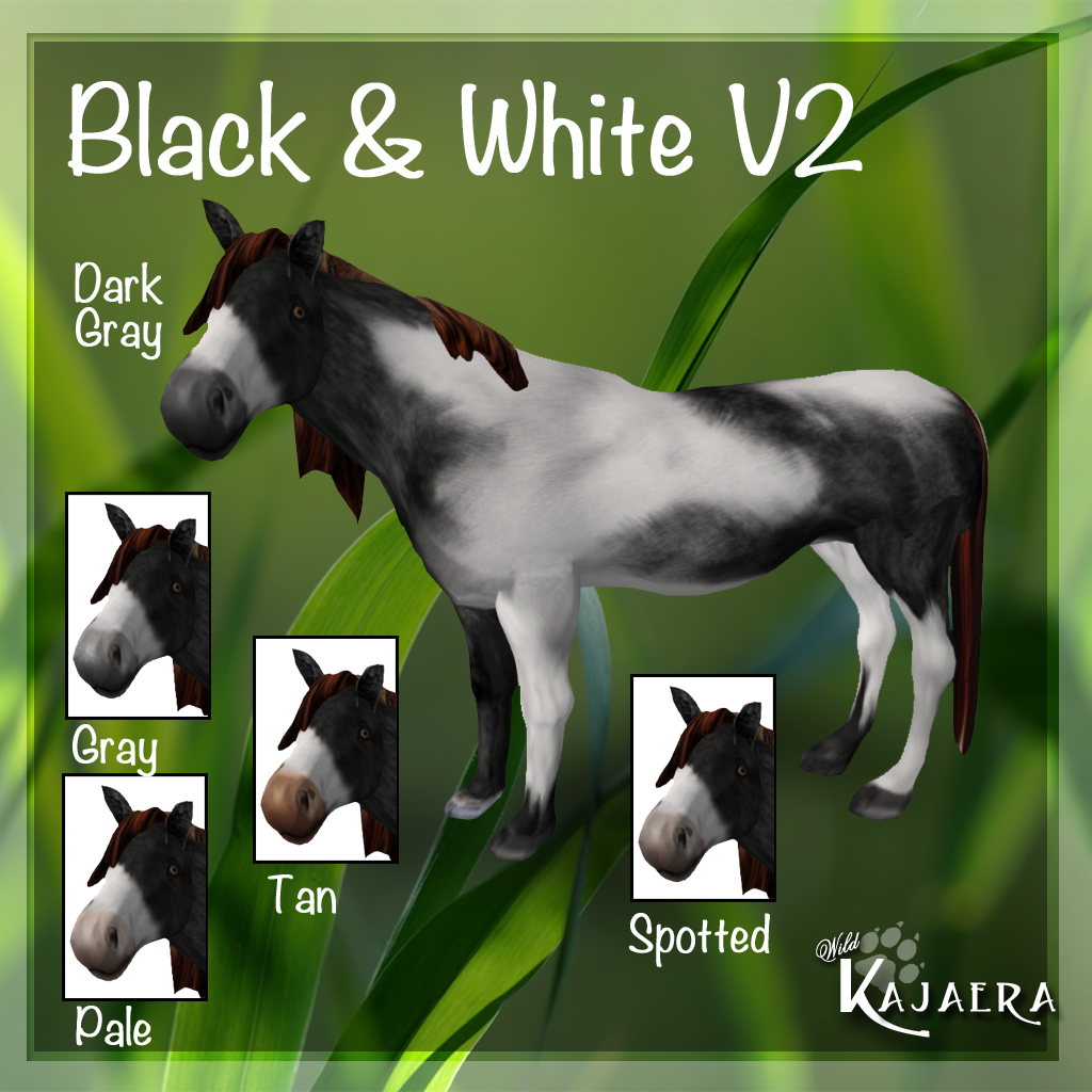 BlackWhiteV2