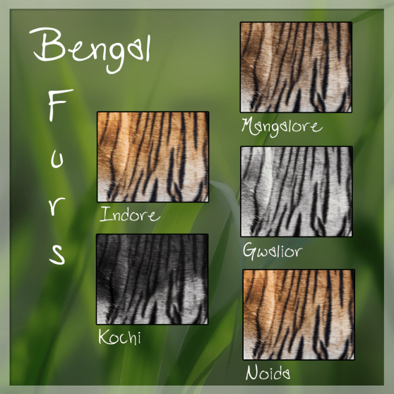 Bengal Tiger Furs.png