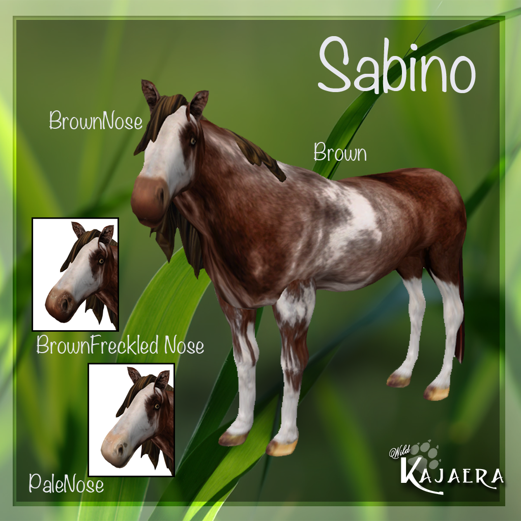 Sabino-Brown.png