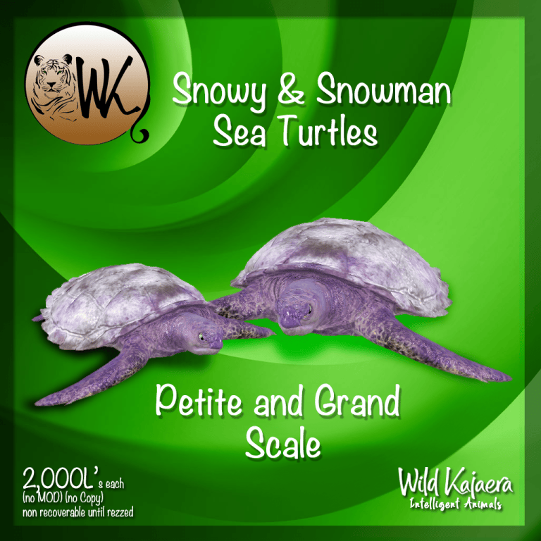 Snow Turtle Insect 🐢 Violet Snow Sea TurtlesSnow – WK – Wild Kajaera